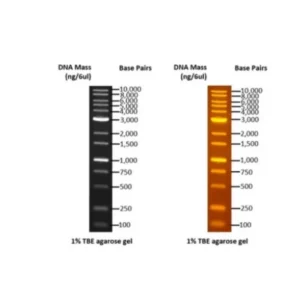 Escalera de ADN OmniMark 1K BH OneMARK B Plus RTU.