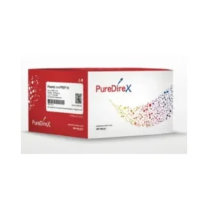 Kit miniPREP de plasmido PureDirex.