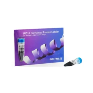 Escalera de proteínas IRIS11 GeneDirex.