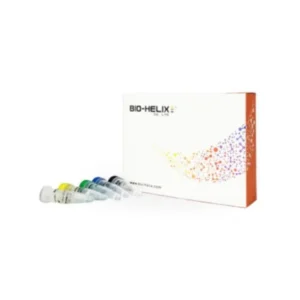 Kit de síntesis de ADNc RScript Biohelix 50 reacciones.