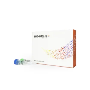 Transcriptasa Reversa